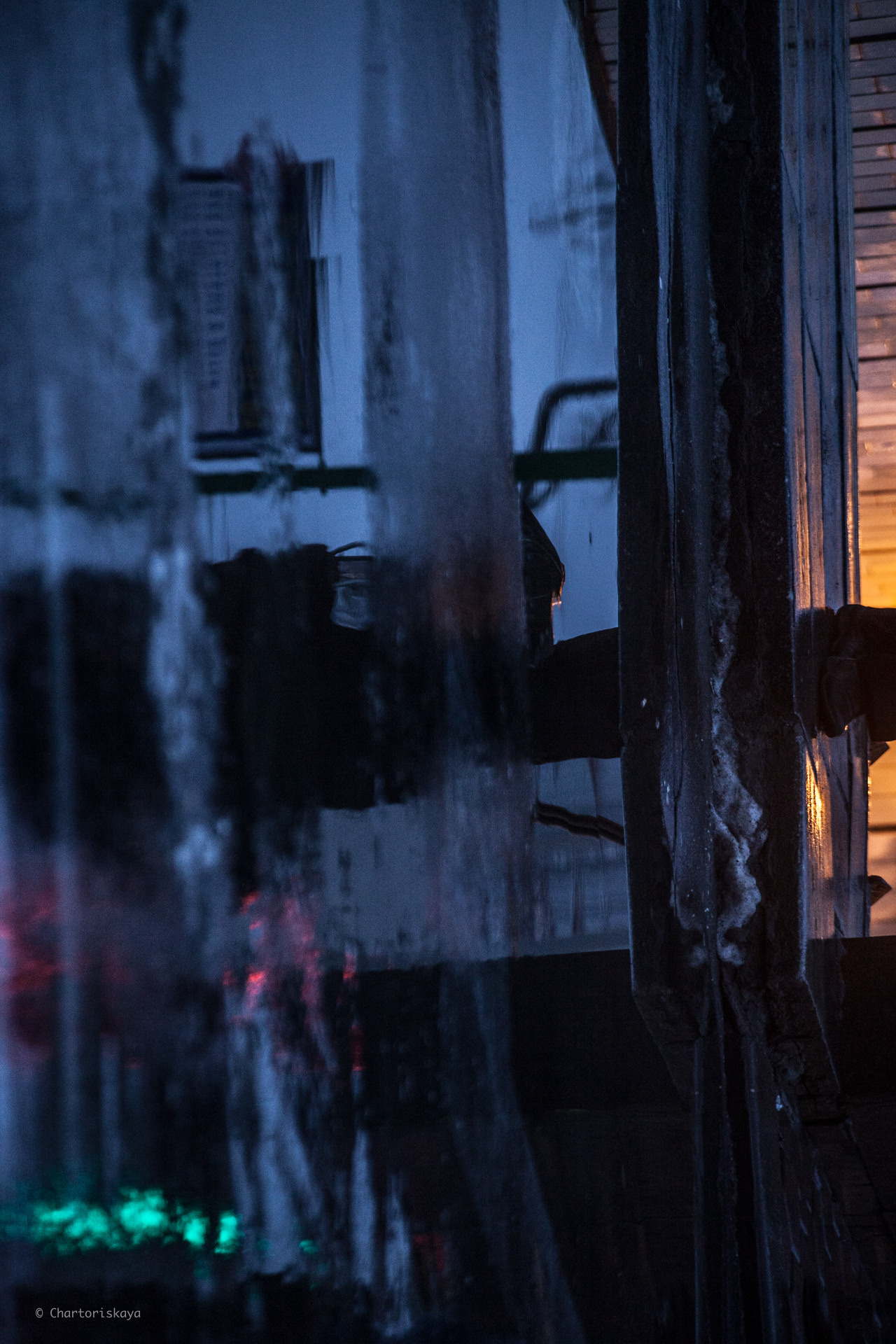 Творческая фотография. Дарья Чарторийская — режиссер, продюсер, фотограф, художник, журналист, клинический психолог