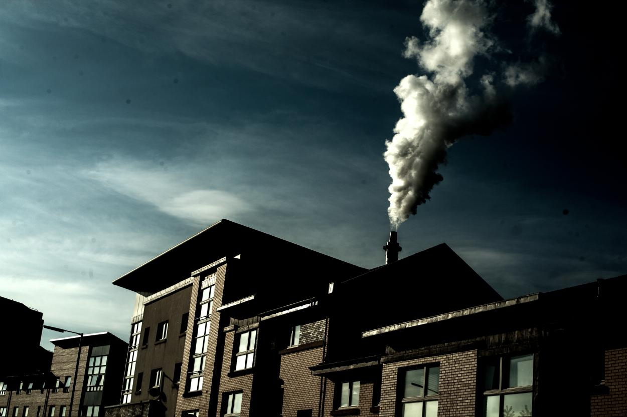 Cities. Daria Chartoriyskaya — director, producer, photographer, artist, journalist, clinical psychologist