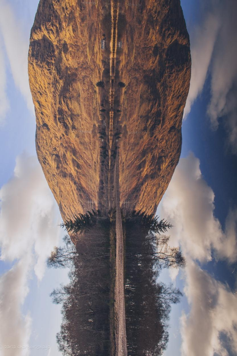 Пейзаж. Дарья Чарторийская — режиссер, продюсер, фотограф, художник, журналист, клинический психолог