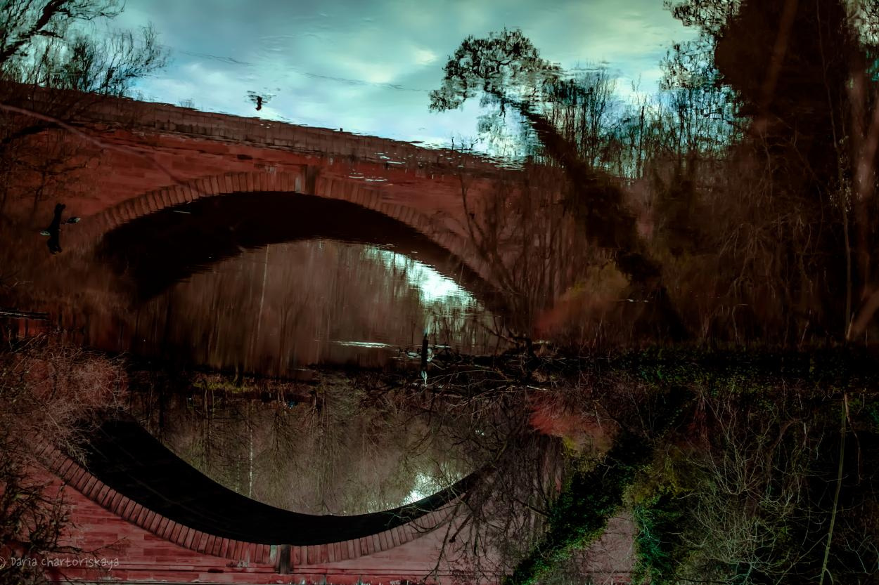 Cities. Daria Chartoriyskaya — director, producer, photographer, artist, journalist, clinical psychologist