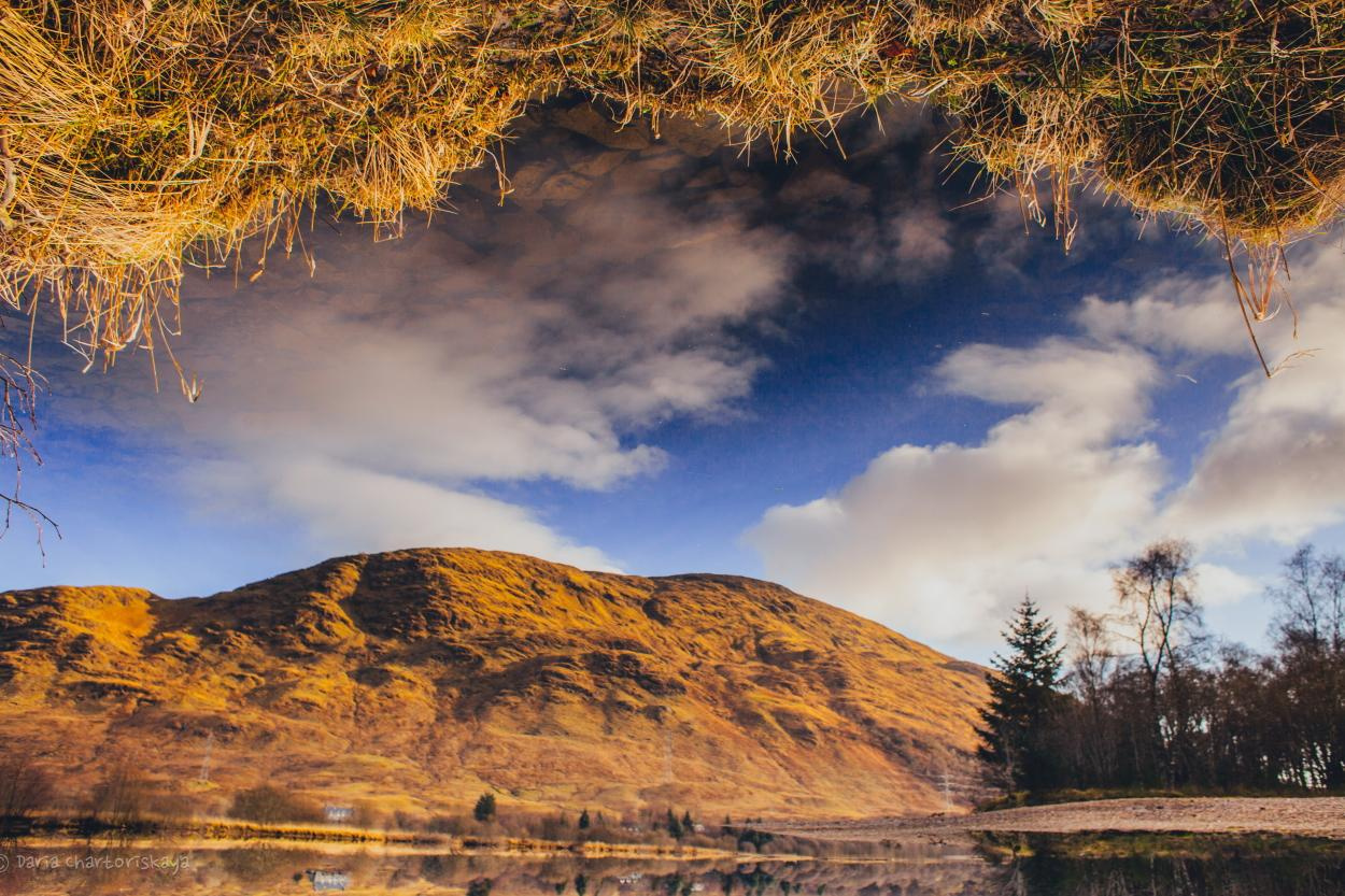 Пейзаж. Дарья Чарторийская — режиссер, продюсер, фотограф, художник, журналист, клинический психолог