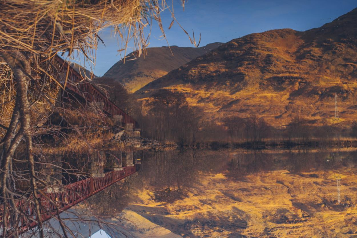 Пейзаж. Дарья Чарторийская — режиссер, продюсер, фотограф, художник, журналист, клинический психолог