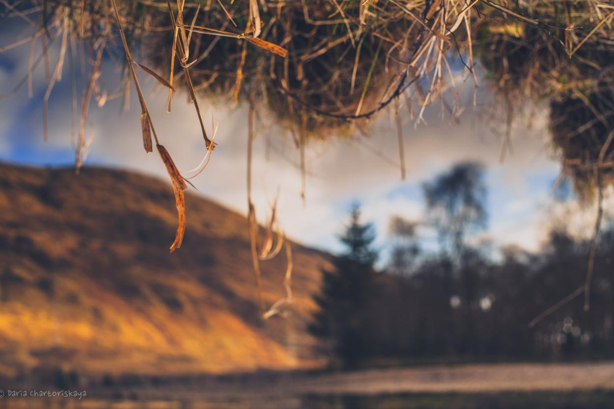 Пейзаж. Дарья Чарторийская — режиссер, продюсер, фотограф, художник, журналист, клинический психолог