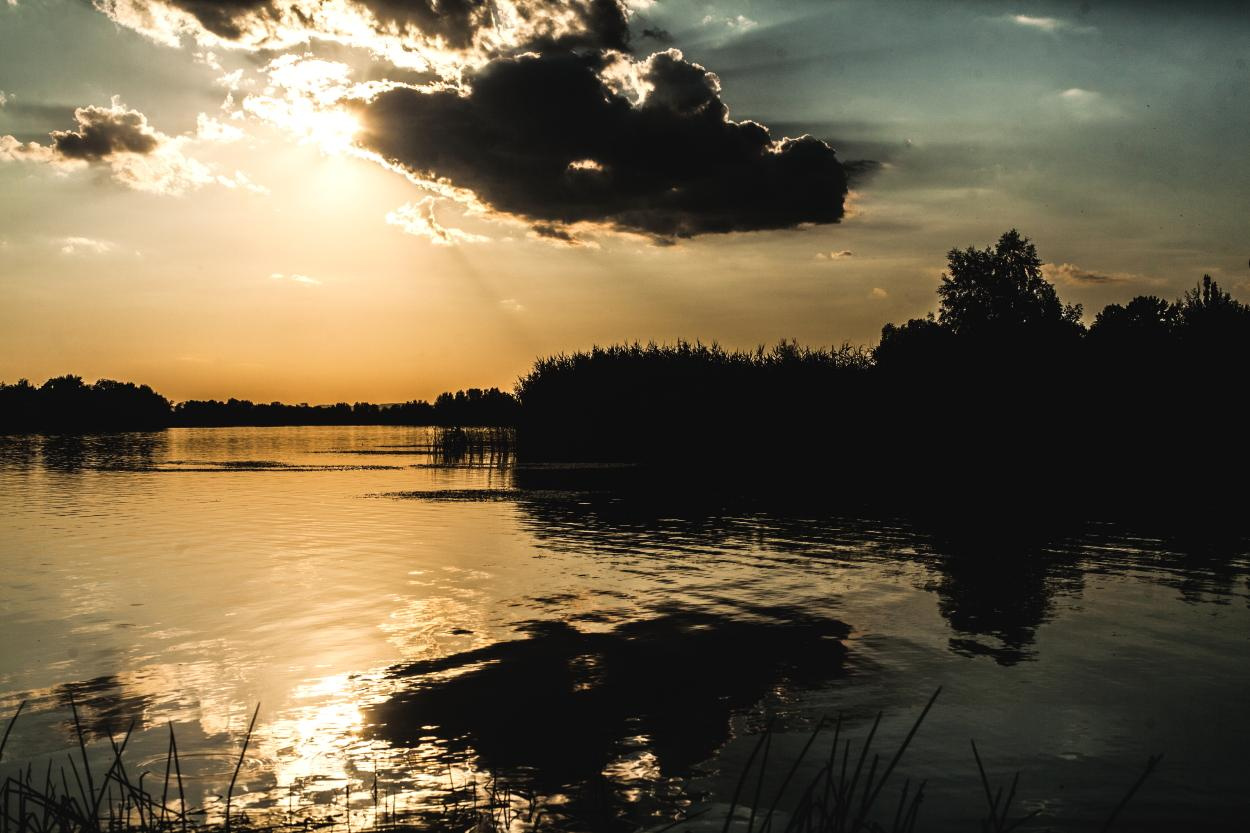Пейзаж. Дарья Чарторийская — режиссер, продюсер, фотограф, художник, журналист, клинический психолог