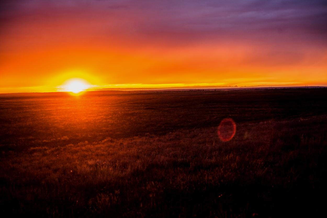Пейзаж. Дарья Чарторийская — режиссер, продюсер, фотограф, художник, журналист, клинический психолог