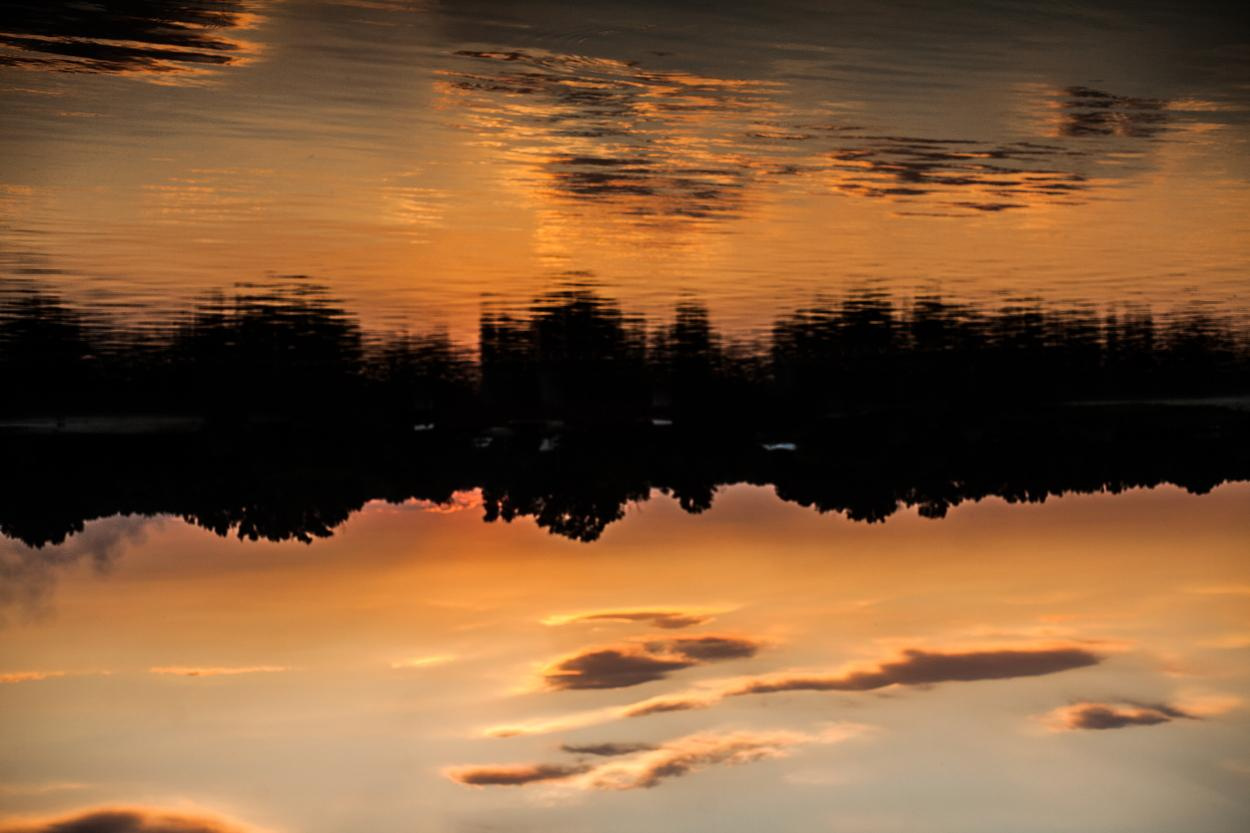 Пейзаж. Дарья Чарторийская — режиссер, продюсер, фотограф, художник, журналист, клинический психолог