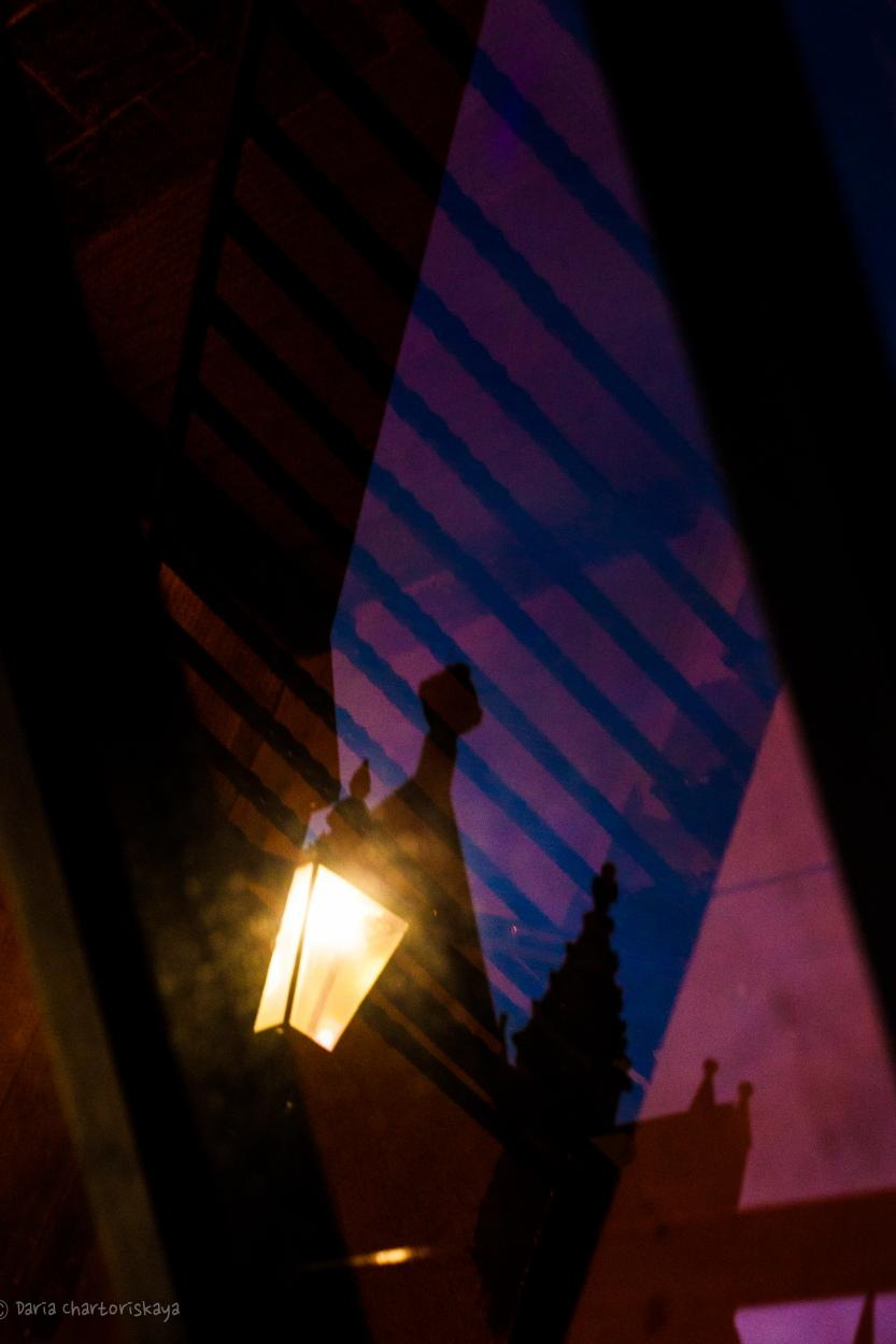 Cities. Daria Chartoriyskaya — director, producer, photographer, artist, journalist, clinical psychologist