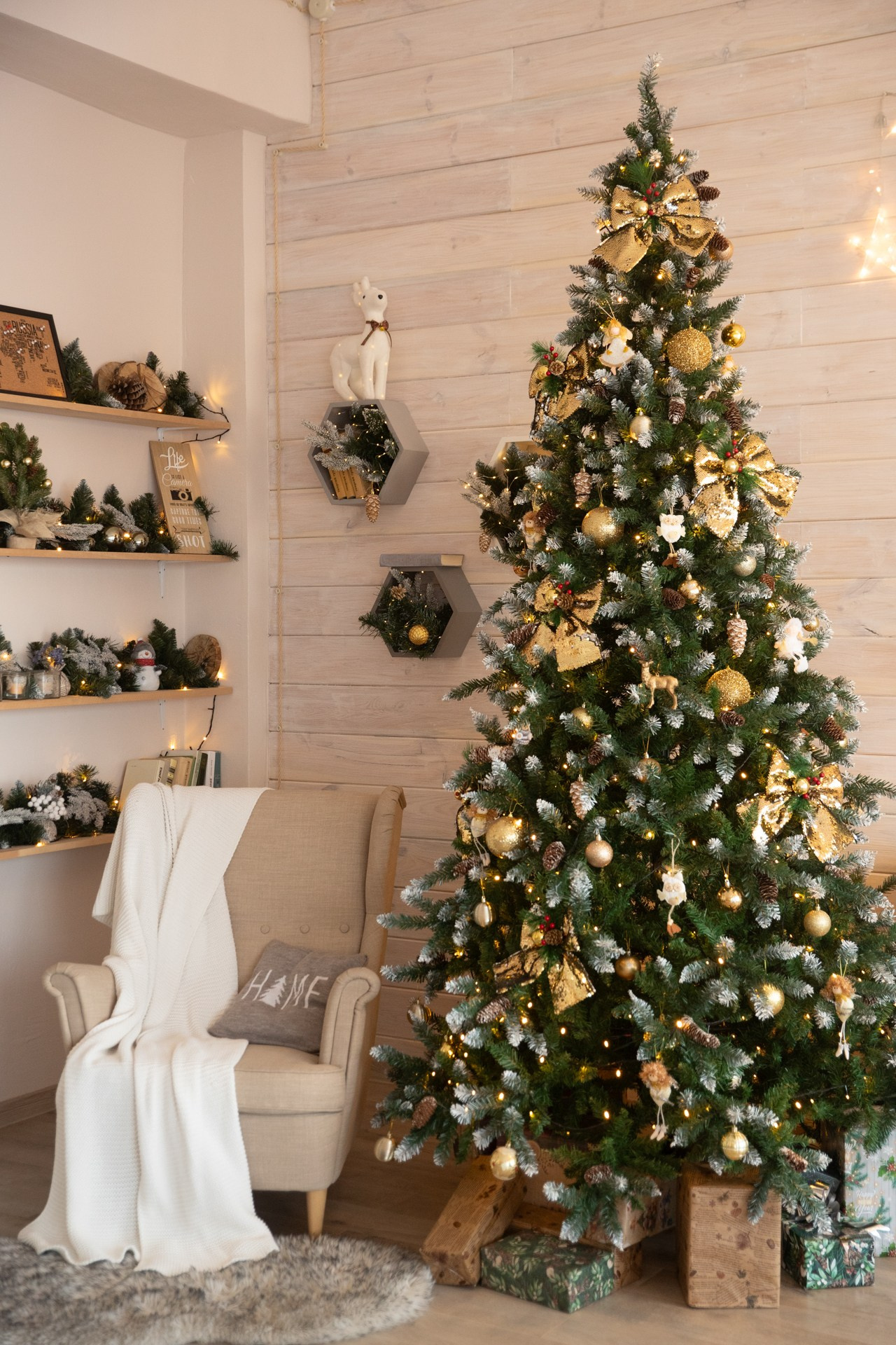 СКАНДИ. Профессиональный фотограф Анастасия Кохно