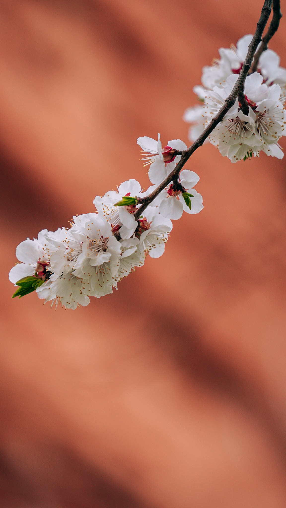 Кыргызстан. Человек с фотокамерой