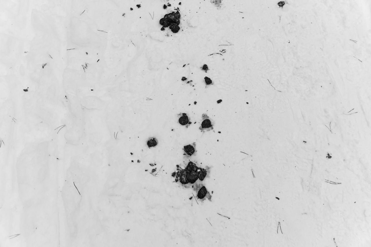 Черно-белая минималистичная фотография: темные пятна и следы на белом снегу или текстурированной поверхности, абстрактная композиция, уличная фотография Москвы, Вадим Топорёнок, проект Манифест теней, городские знаки, геометрия случайности, монохромная абстракция, следы на снегу.