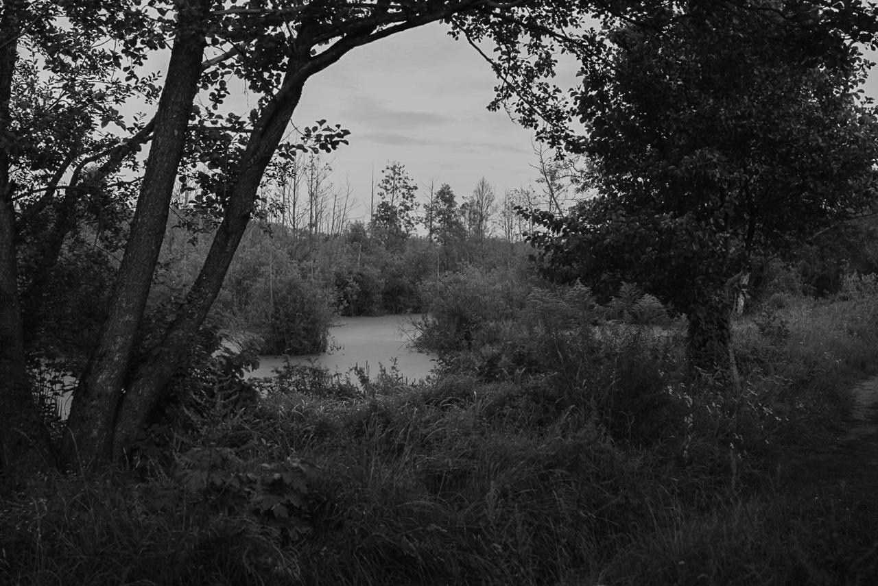 Sedimentation. Пылина Ирина — современная фотография