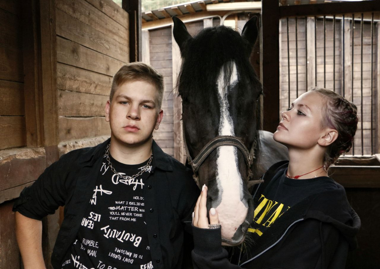 Horses. AVE CONCEPT by German S