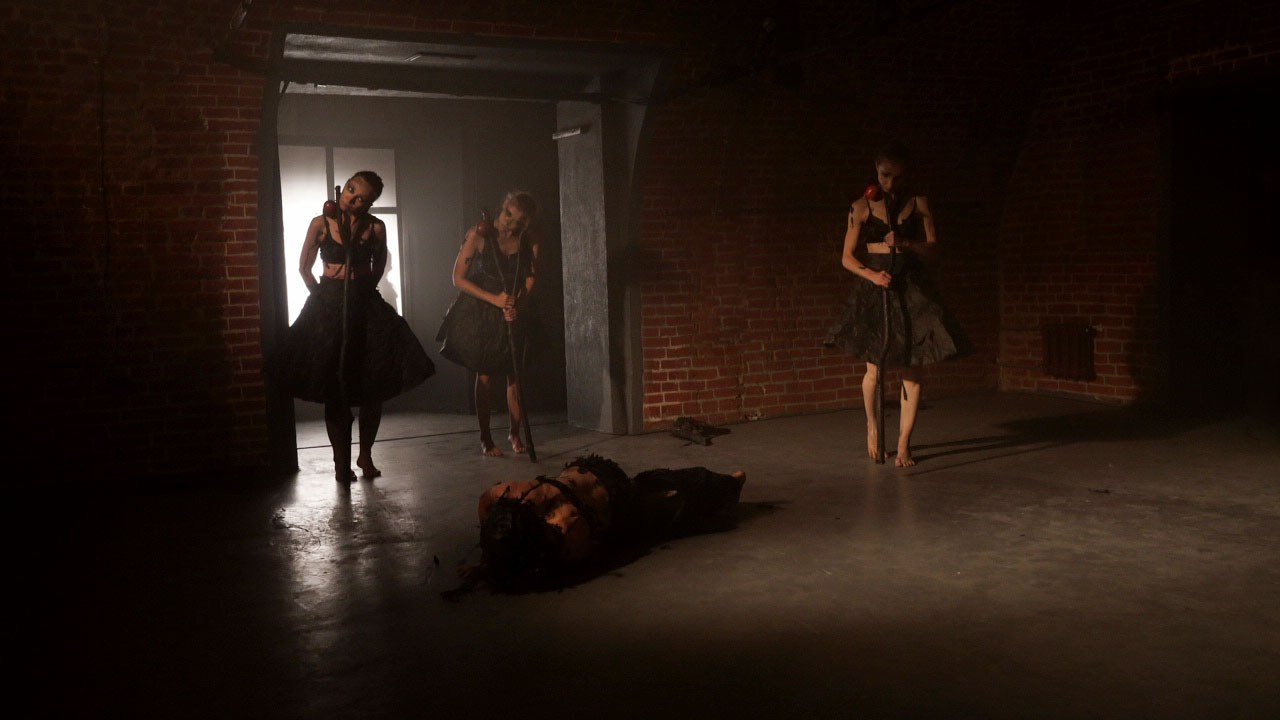 Красное дерево. Фото / Видеосъемка в Москве