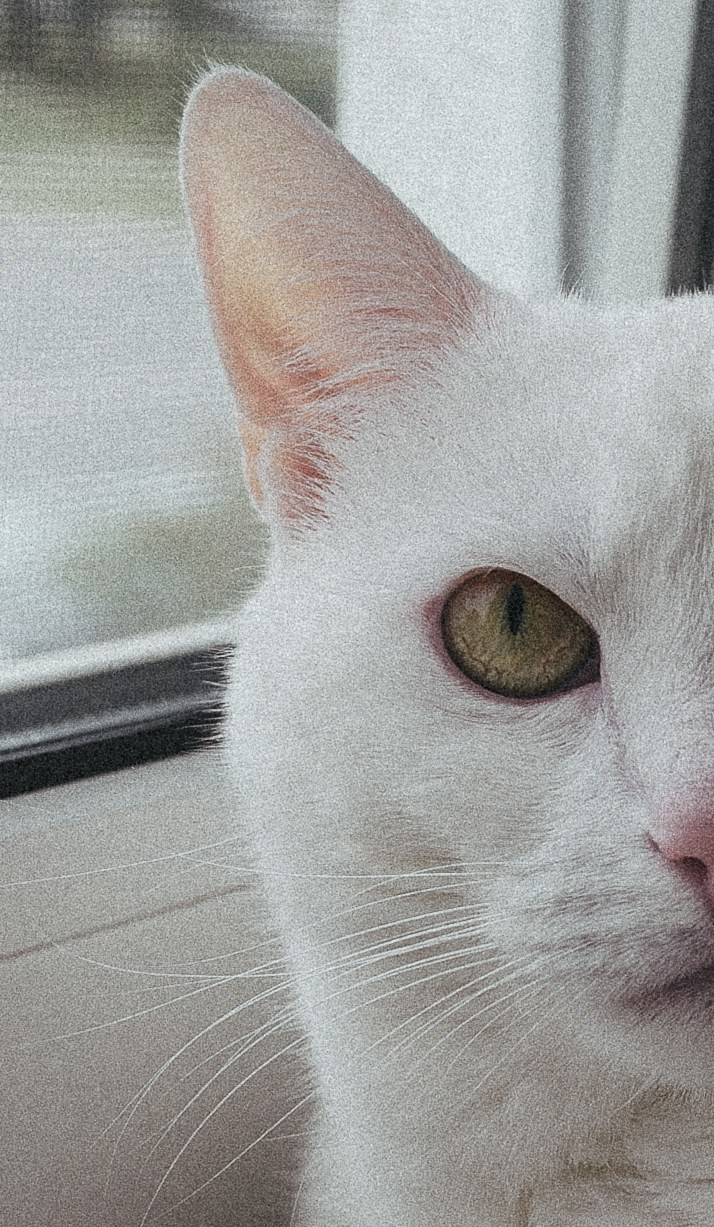 Happy Birthday, Alina ♥️. <3