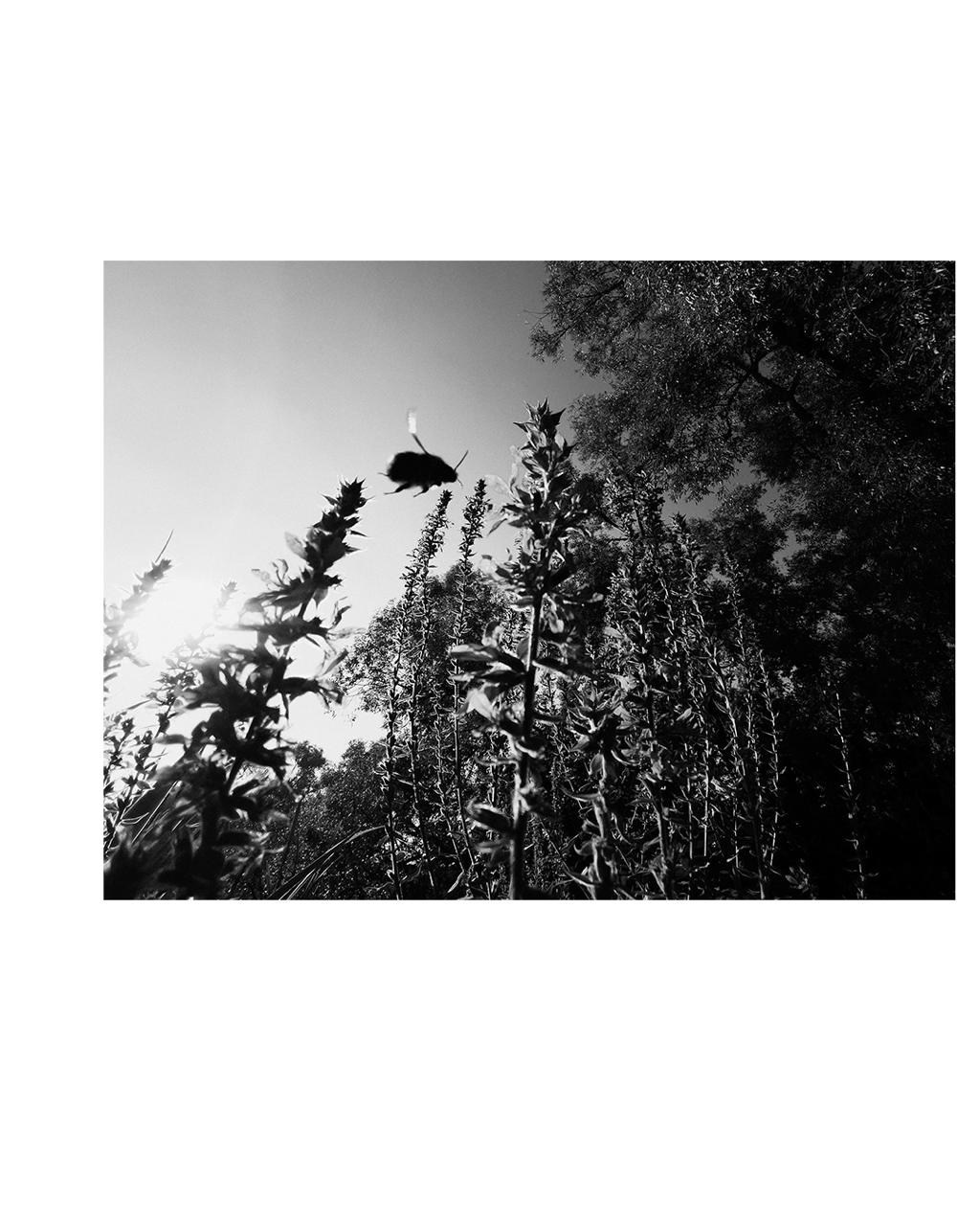 Пейзаж. Сюжетный и репортажный фотограф, Миша Муромцев