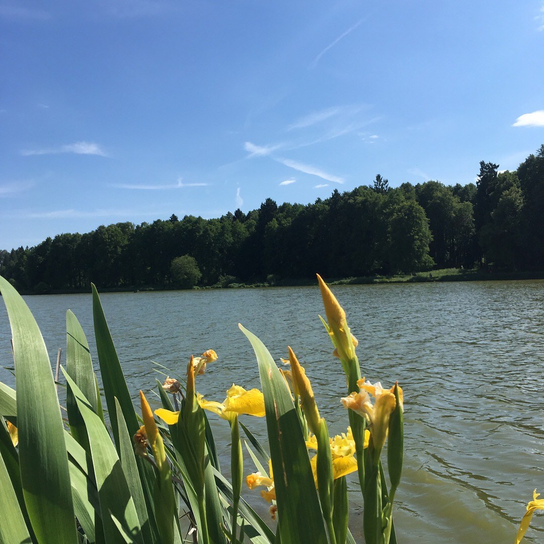 Львовская -18. Своя Мастерская