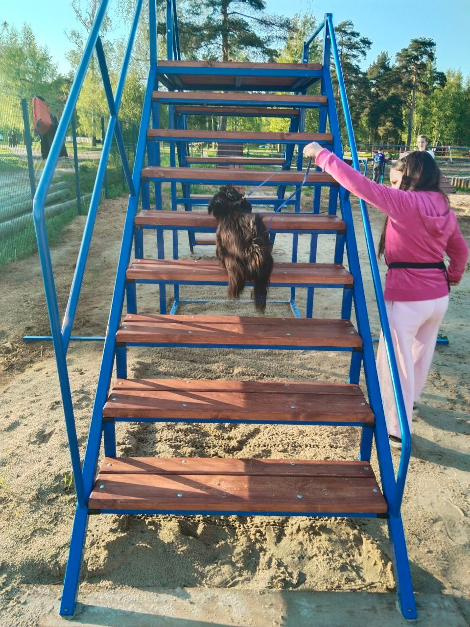 Практические занятия по дрессировке. НРОО КЦ "Собаковод"