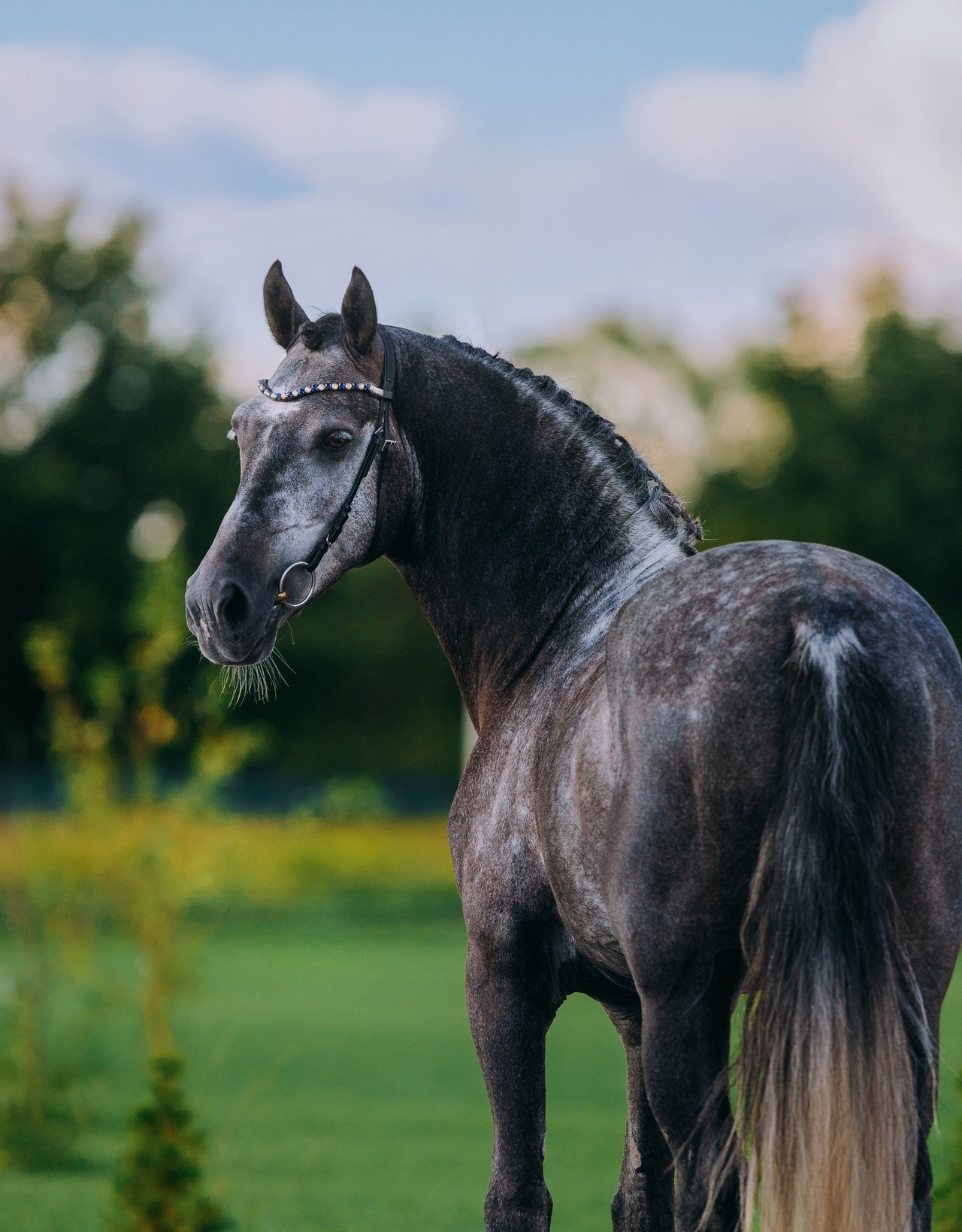 Отзывы. Фотограф-анималист Ксендзова Кристина