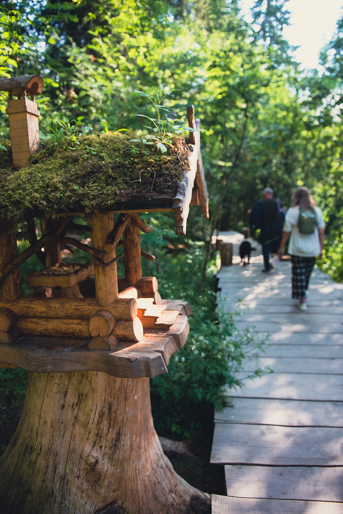 Карелия. Фотограф-анималист Наталья Светличная