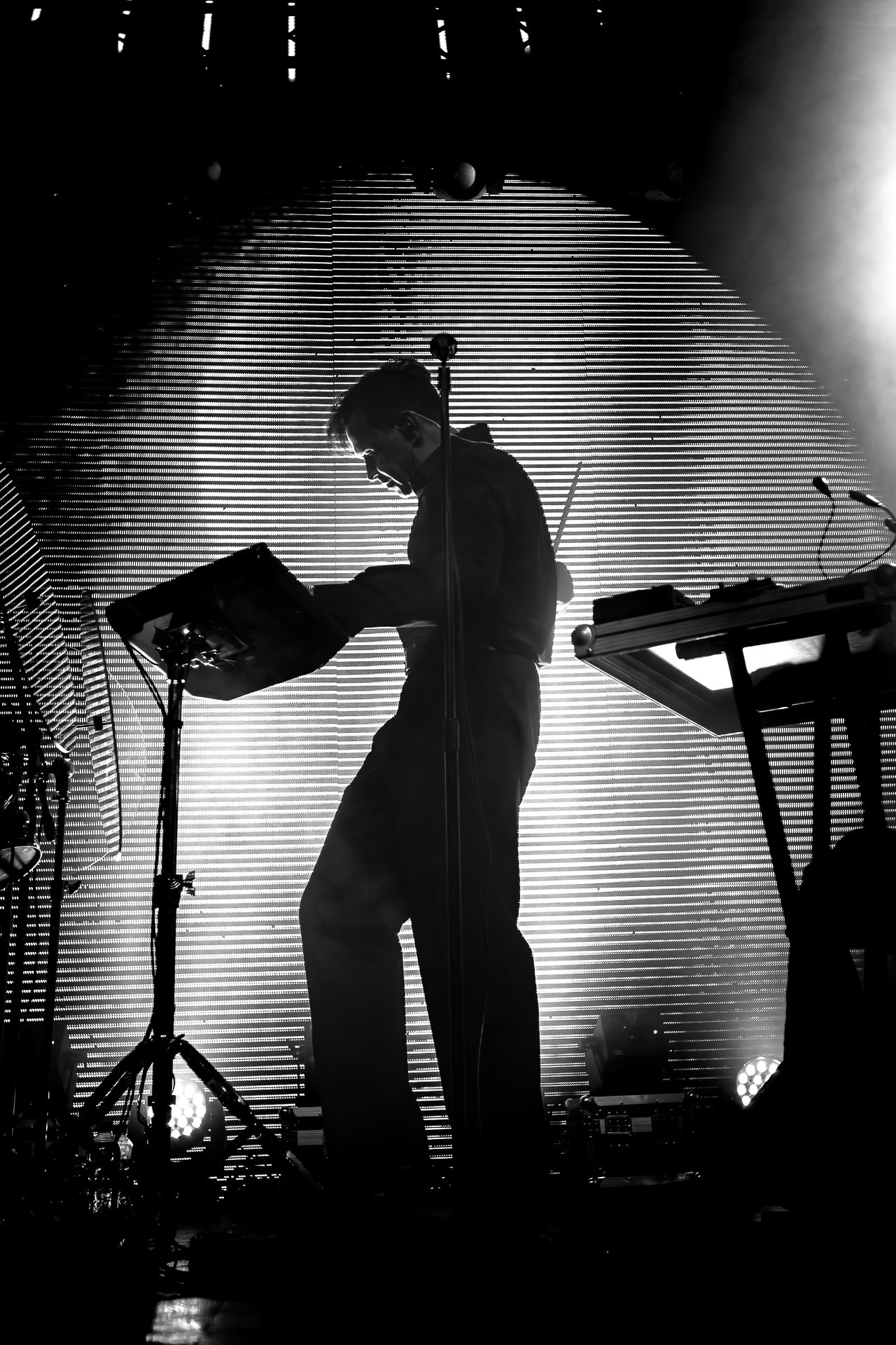 Фотографии с концерта Дельфина в Москве 05.06.25, VK Gipsy. Андрей Лысиков. Съемка концертов в Москве.