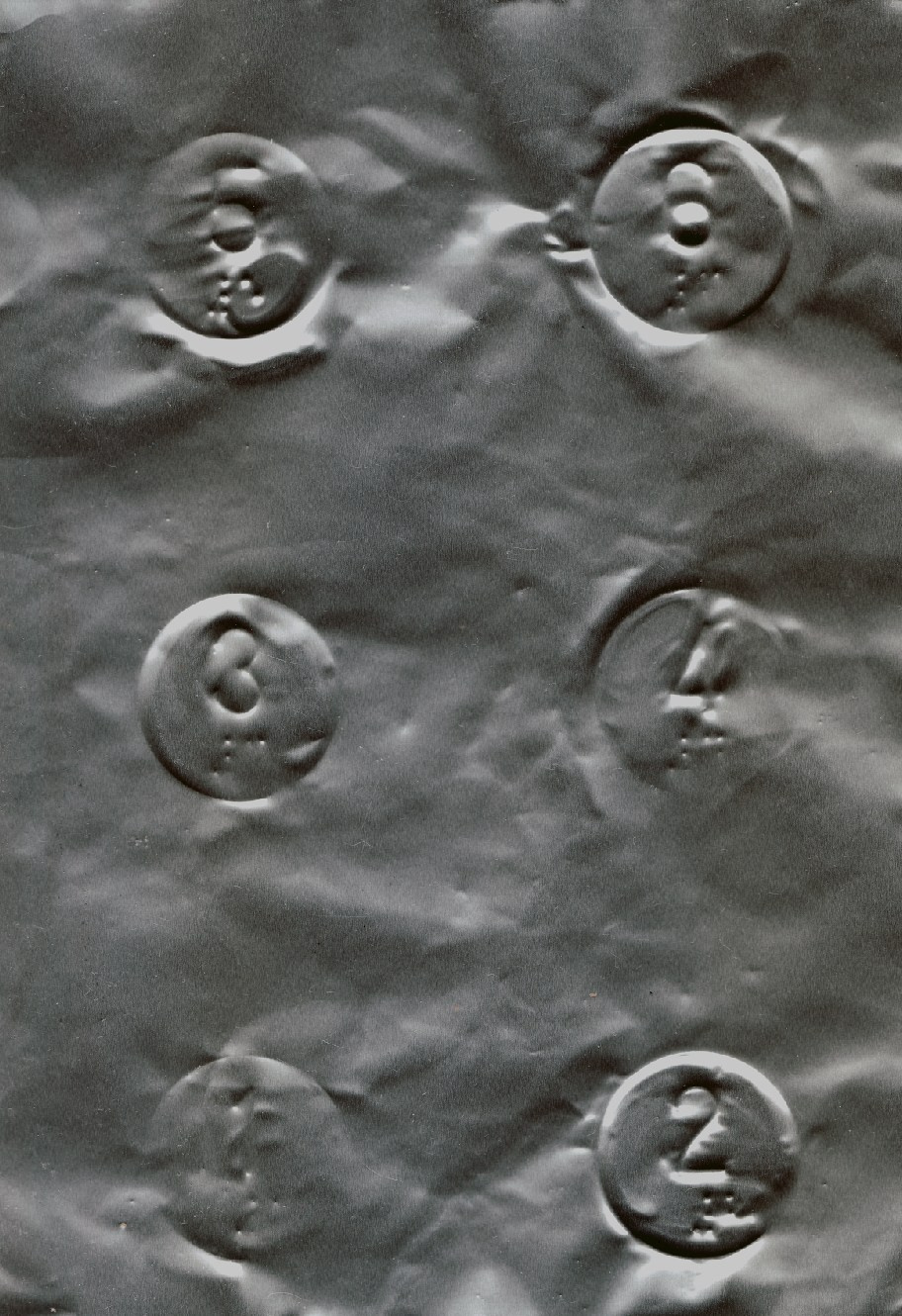 Нулевые зоны. Шалыгина Юлия