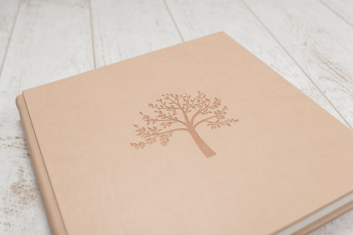 Обложка с тиснением, твёрдая. Фотограф Евгения Мальцева, Архангельск