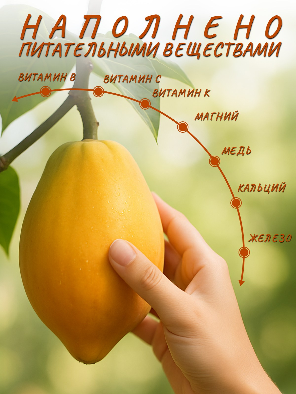 Сухофрукты. Diddesign — Фото видеосъемка, разработка уникальных логотипов, веб-дизайн, брендинг