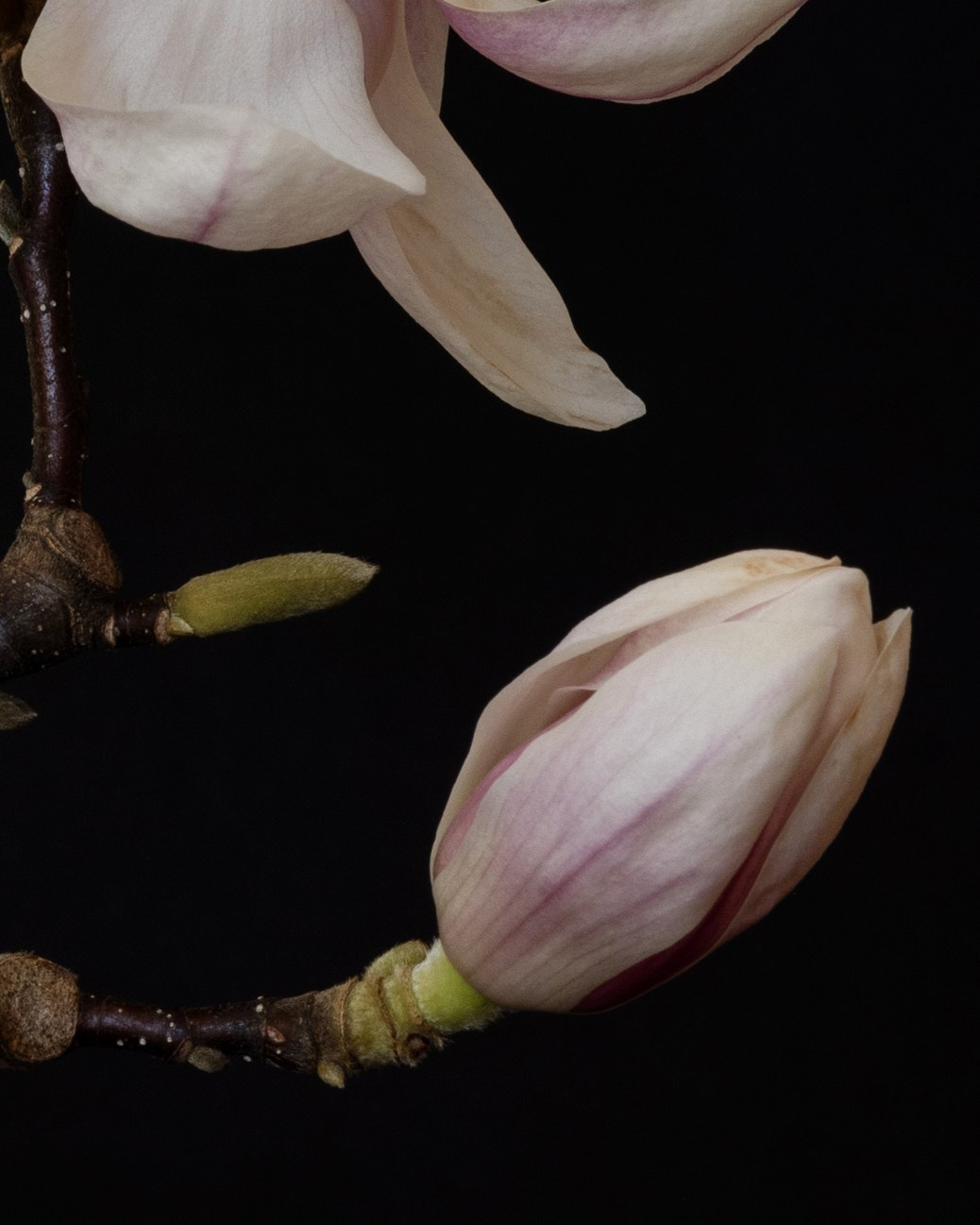 Eternal Moment. Author’s fine art prints with international delivery