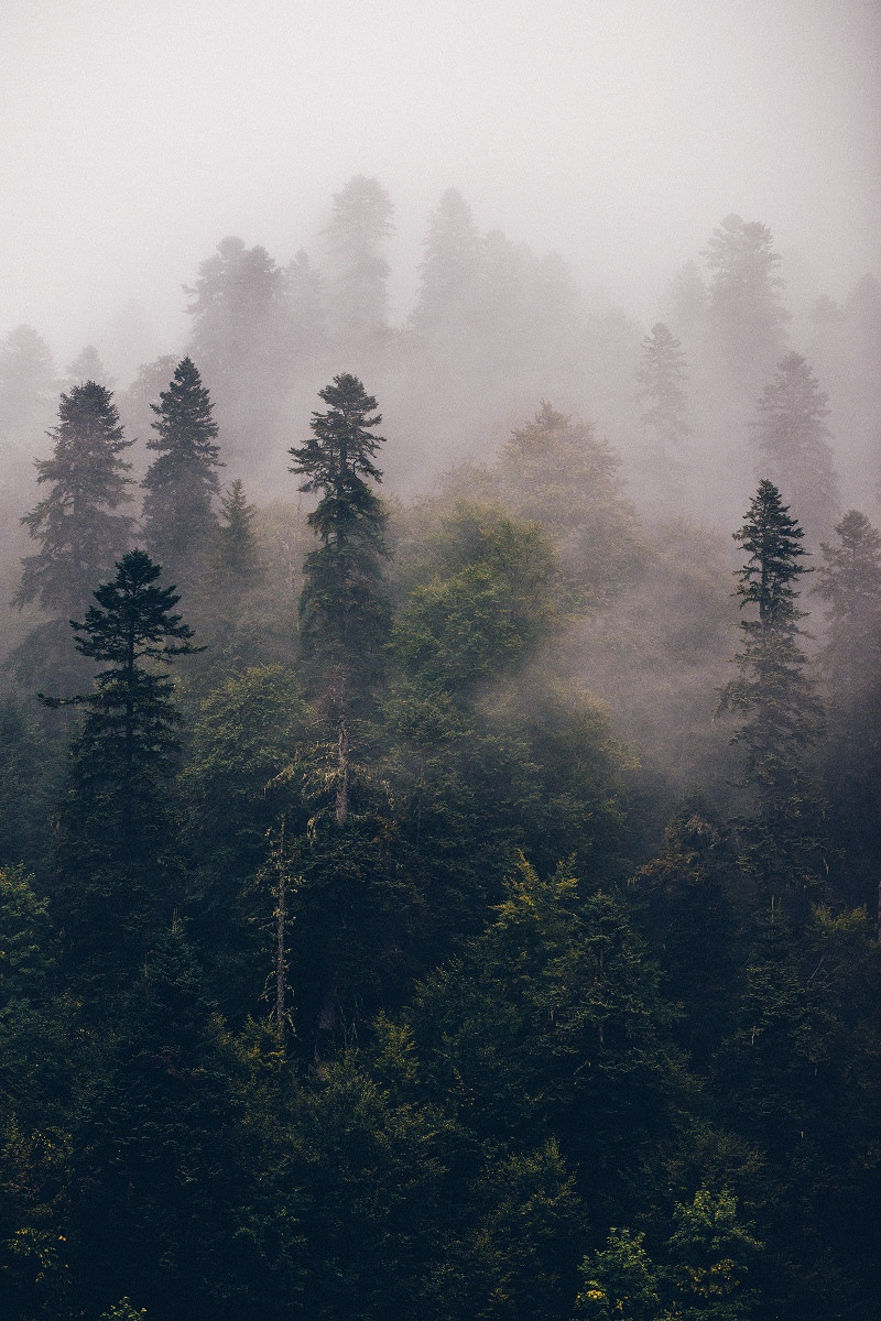 Фото-Туры. Свадебный и семейный фотограф в Екатеринбурге Михаил Лежнев