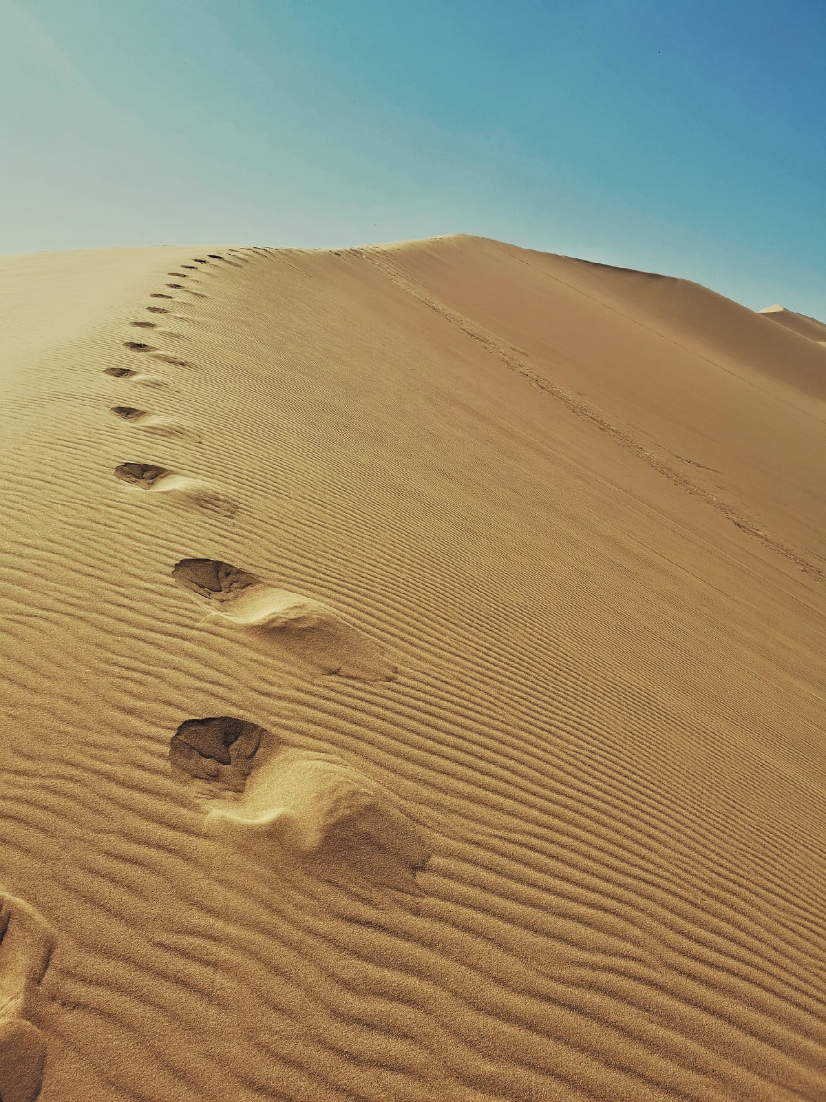Фото-Туры. Свадебный и семейный фотограф в Екатеринбурге Михаил Лежнев