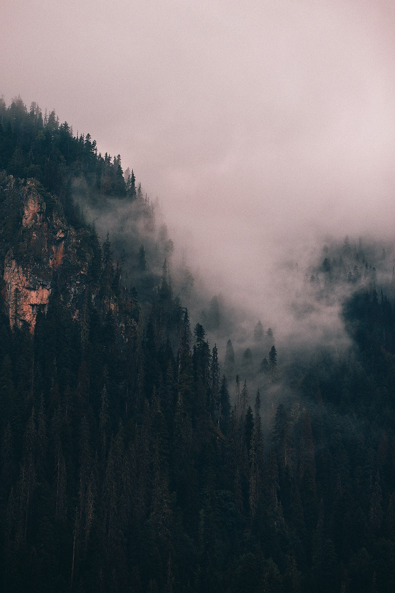 Фото-Туры. Свадебный и семейный фотограф в Екатеринбурге Михаил Лежнев