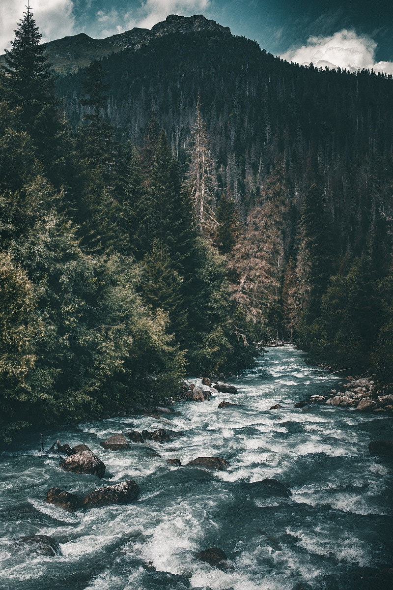 Фото-Туры. Свадебный и семейный фотограф в Екатеринбурге Михаил Лежнев