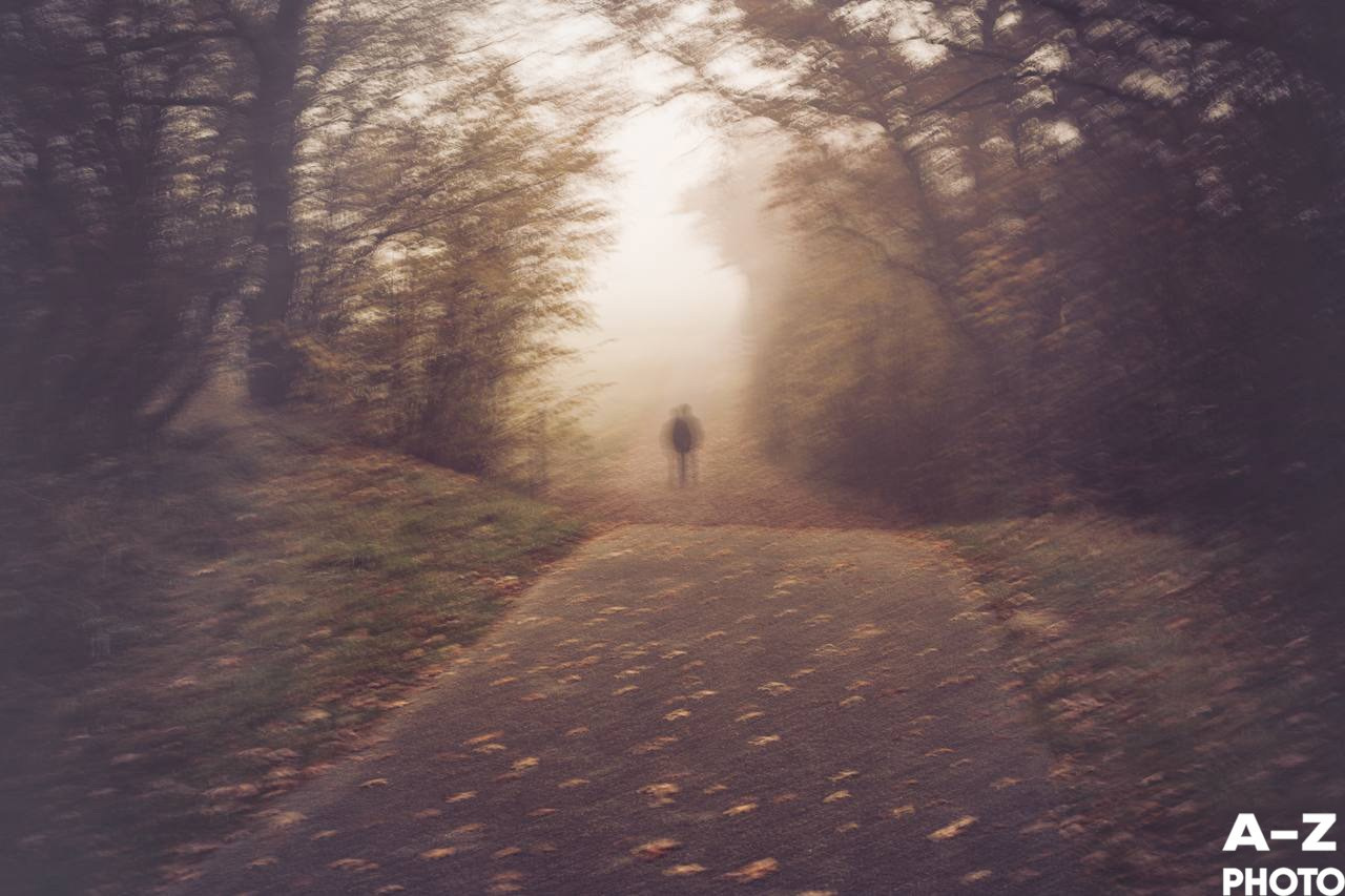 Фото недели 18.11.2025. Женский семейный фотограф Тула Москва Захарова Анна