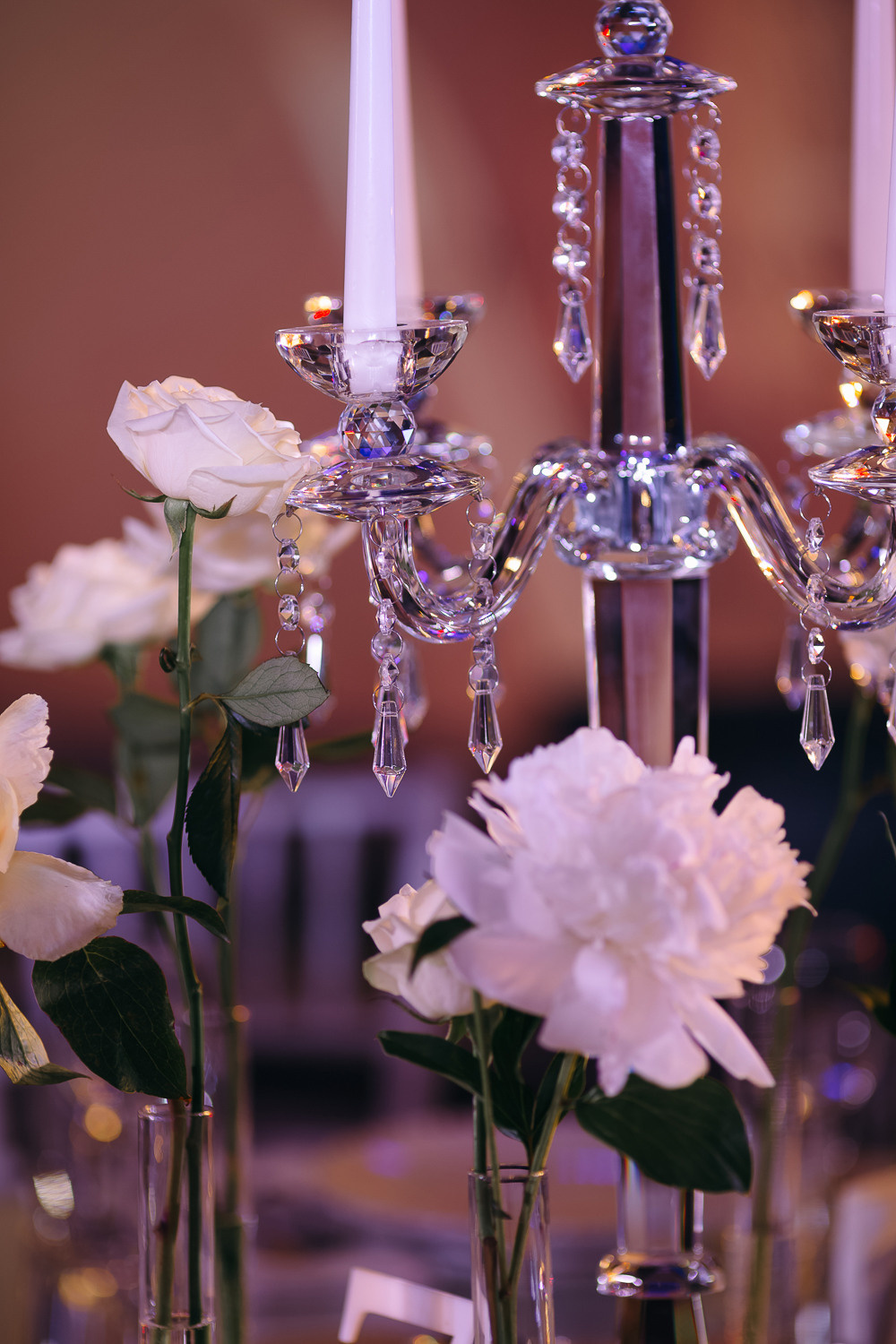 АРТЁМ И ВИОЛИНА. Фотограф Светлана Буня