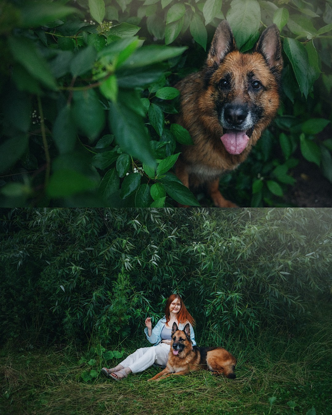 Вика и Фрея. Фотограф анималист в Москве и Санкт-Петербурге Свиридова Анна