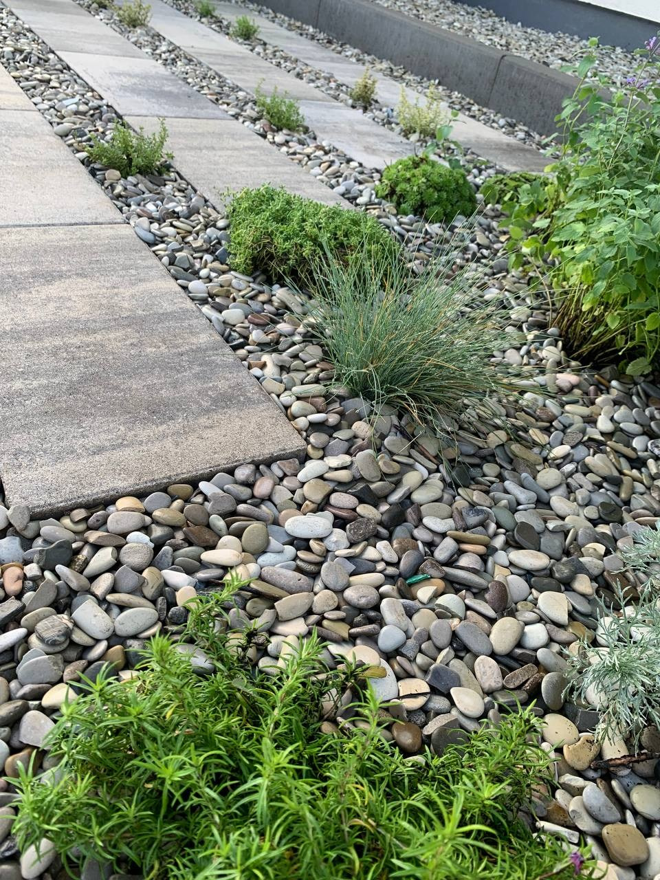 Сад за сезон. Дизайнер интерьера, Санкт-Петербург