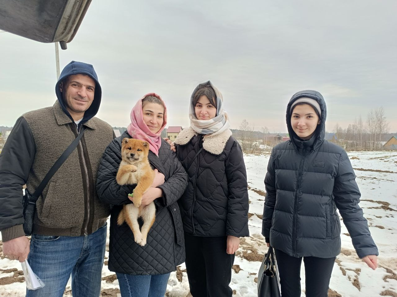 Сиба Rubylight Everest питомник Рубилайт 