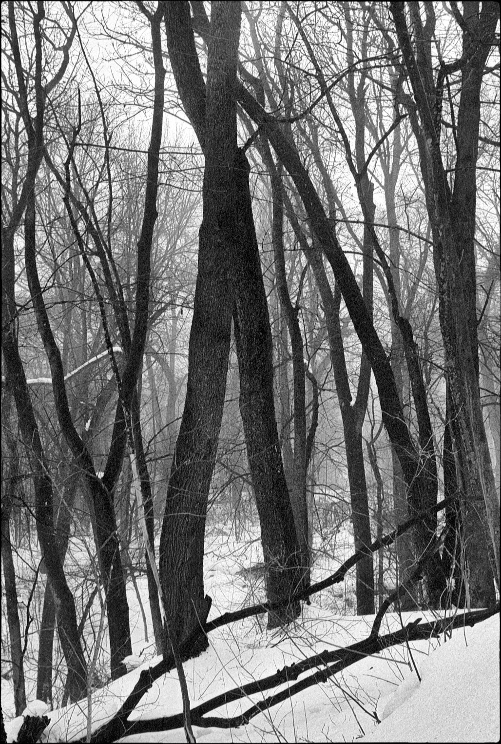 Vitessa светит плёнку. Artkapella|Олег Кузнецов