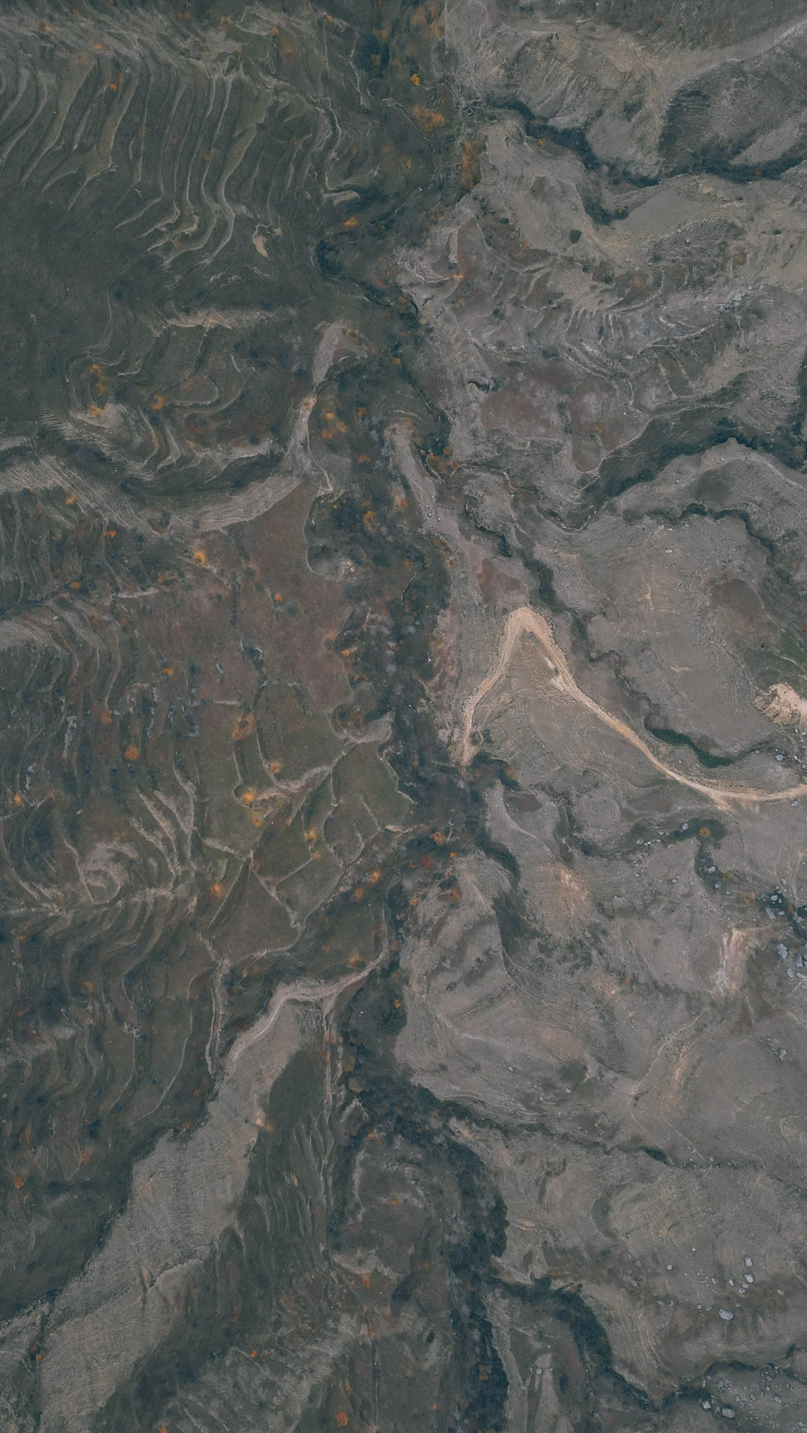 Дагестан 2023. Человек с фотокамерой