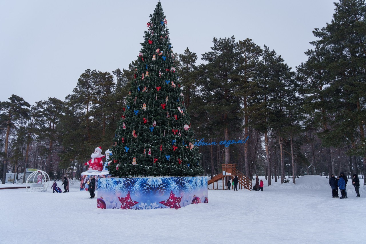 Фотограф Новосибирск, Искитим отзывы