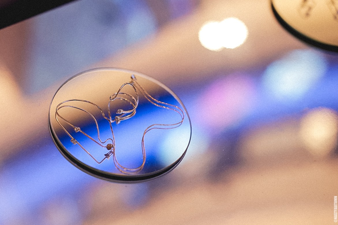 Маркет, ТЦ Метрополис. Репортажный и концертный фотограф в Москве Анастасия Осень