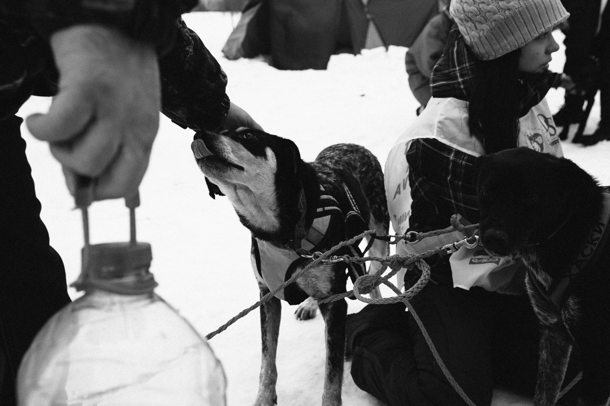 Северная Надежда. Виктор Вытольский —репортажный и событийный фотограф в Москве