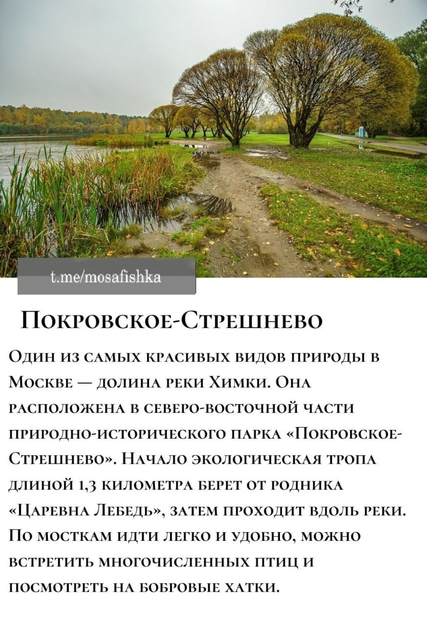 Локации для фотосессии в Москве