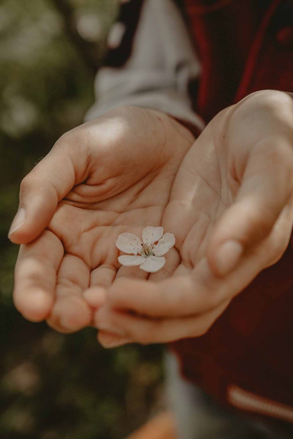 София — ура, каникулы!. Семейный фотограф Новороссийск, Анапа, Геленджик — Юлия Давыдова