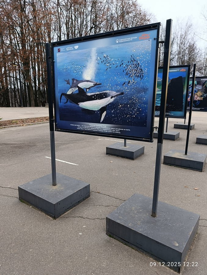 Шашкина Юлия Владимировна. Галерея участников Российской Премии Искусств