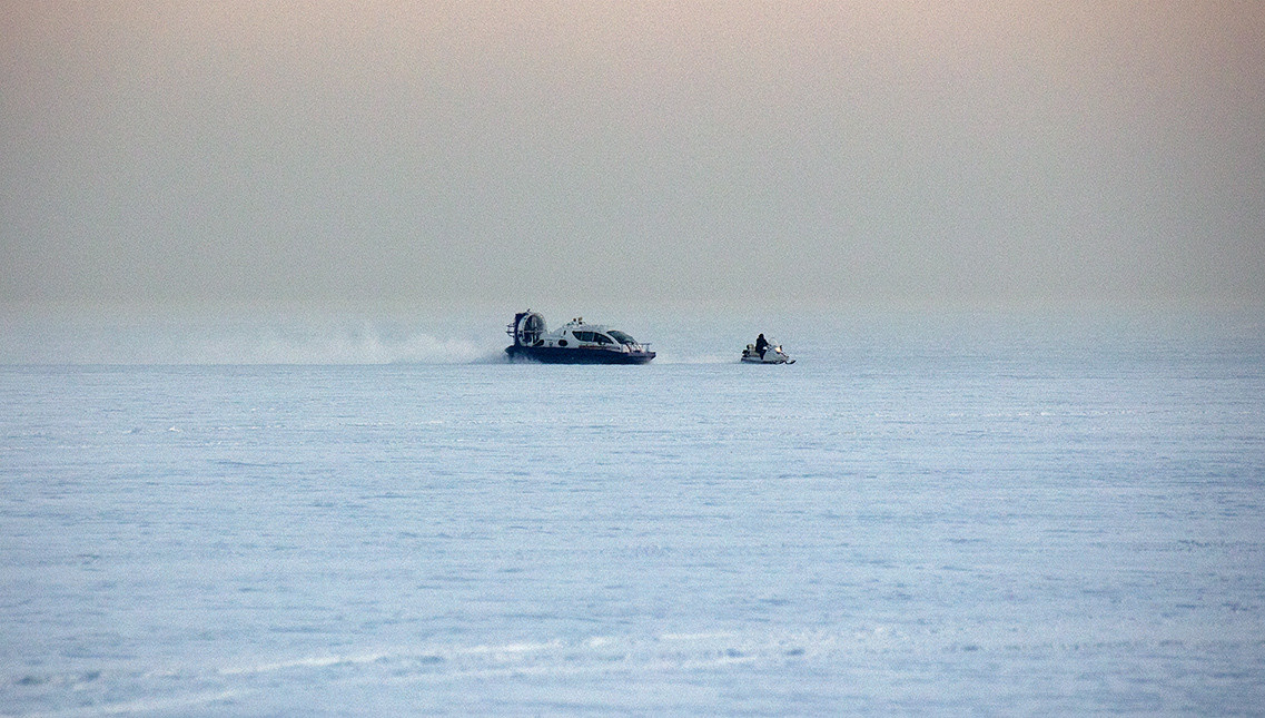 Temporary. Atmospheric landscapes, horses, butterfies. Alexander Kozhukhov