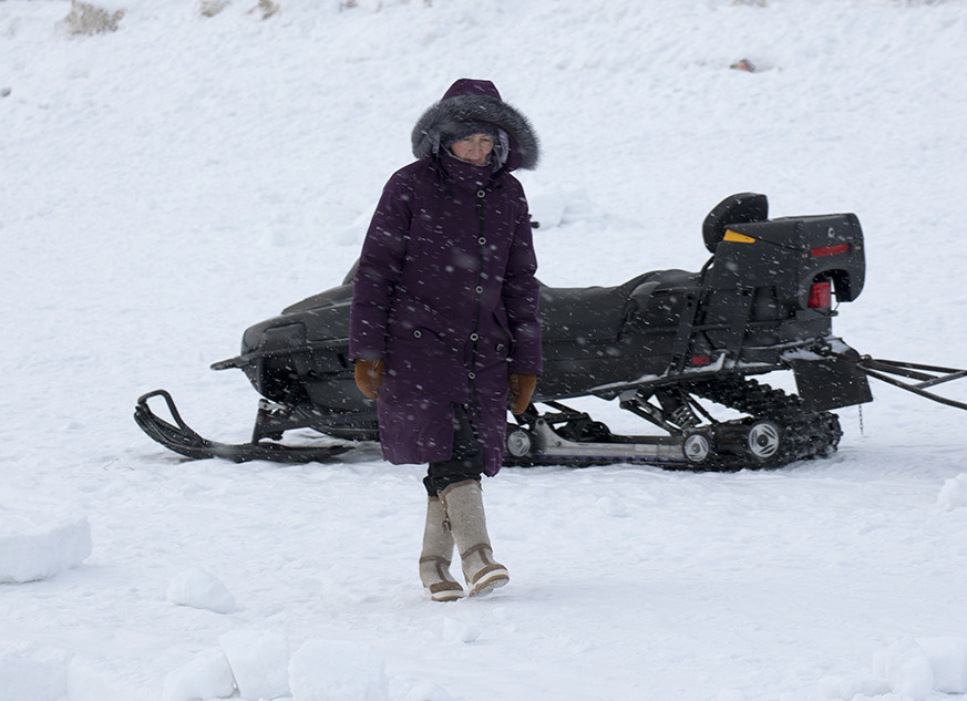 Temporary. Atmospheric landscapes, horses, butterfies. Alexander Kozhukhov