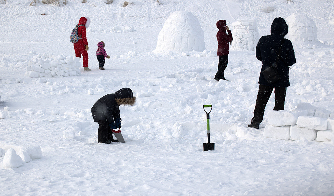 Temporary. Atmospheric landscapes, horses, butterfies. Alexander Kozhukhov