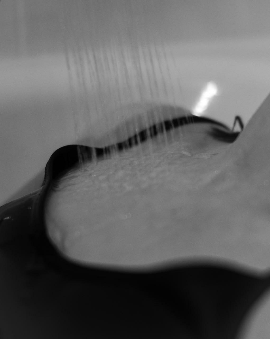 Zi. Семейный, Свадебный фотограф СПБ Питер— Романова Екатерина