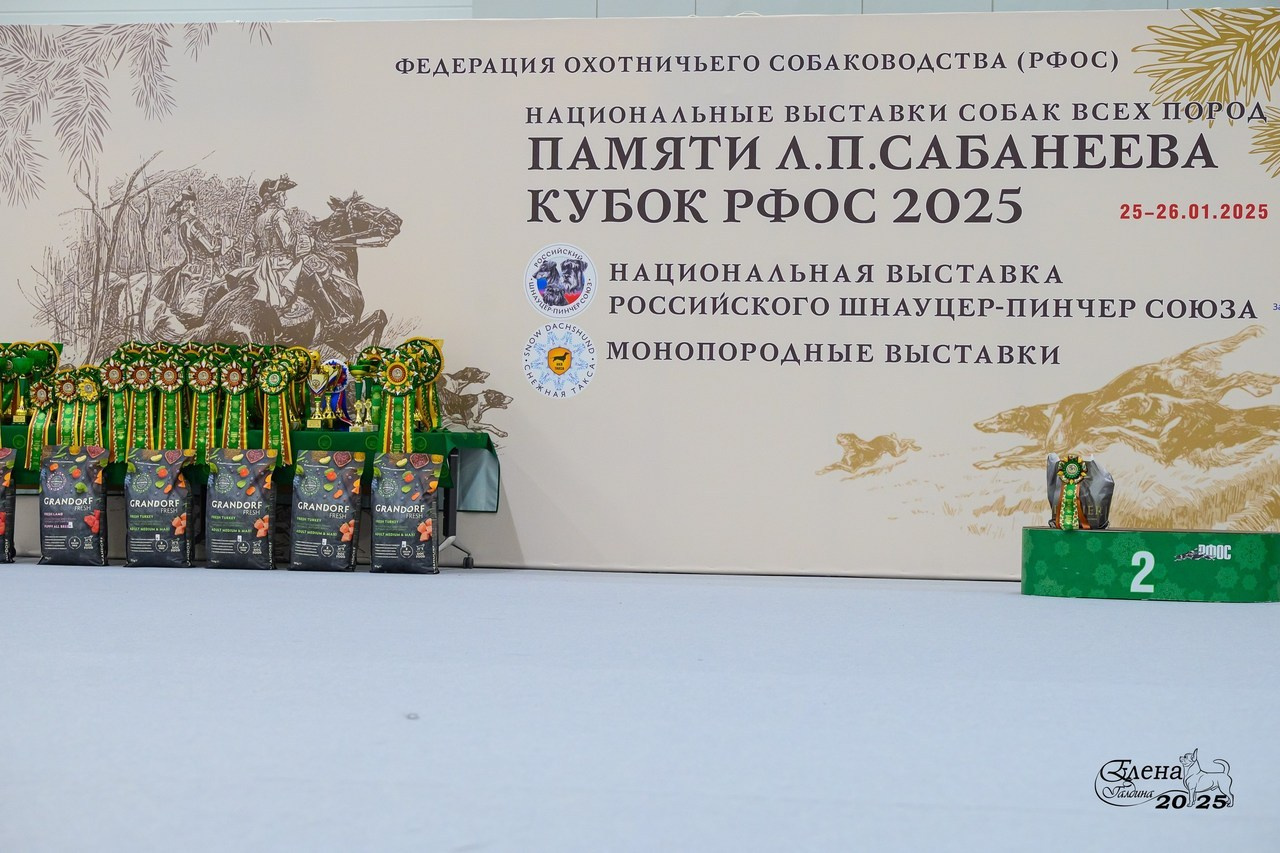 Отзывы. Фотограф анималист Елена Галдина г. Красноярск